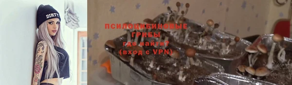 винт Козельск