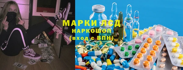 стаф Семилуки