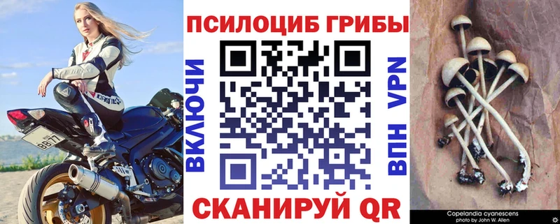 ОМГ ОМГ tor  Саянск  Галлюциногенные грибы MAGIC MUSHROOMS 