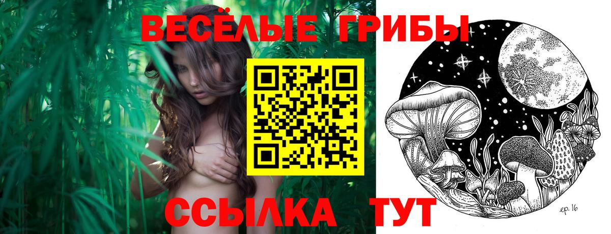 Псилоцибиновые грибы ЛСД  наркота  Вход с VPN  Саянск  Галлюциногенные грибы Magic Shrooms 